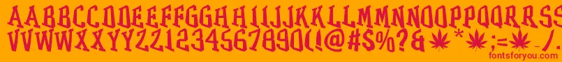 GRASS-Schriftart – Rote Schriften auf orangefarbenem Hintergrund