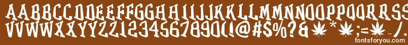 Police GRASS – polices blanches sur fond brun
