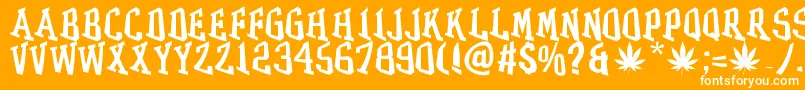 Weitere Informationen zur GRASS-Schriftart GRASS-Schriftart – Weiße Schriften auf orangefarbenem Hintergrund