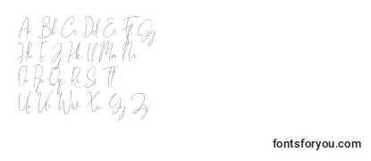 Überblick über die Schriftart Gravity Handwritten