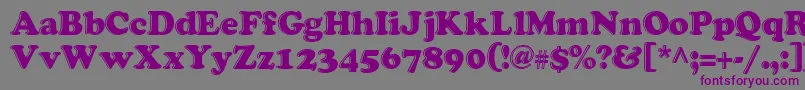 grease   Font – Purple Fonts on Gray Background