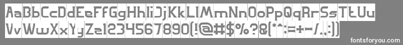GREAT ADVENTURE Inverse Font – White Fonts on Gray Background