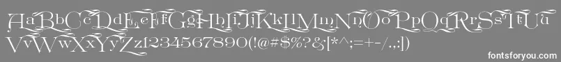 フォントGreatVictorian Swashed – 灰色の背景に白い文字