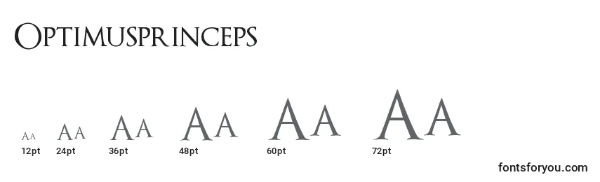 Размеры шрифта Optimusprinceps