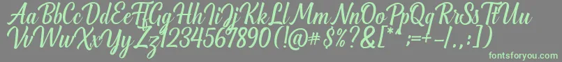 Greenlight Script Font – Green Fonts on Gray Background