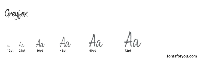 Greyfox Font Sizes
