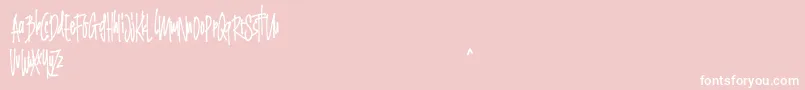 Grinty FREE Font – White Fonts on Pink Background