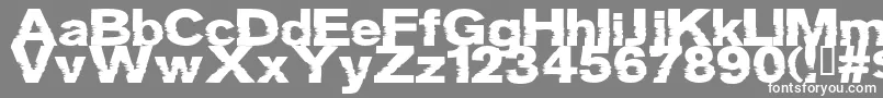 フォントGROTB    – 灰色の背景に白い文字