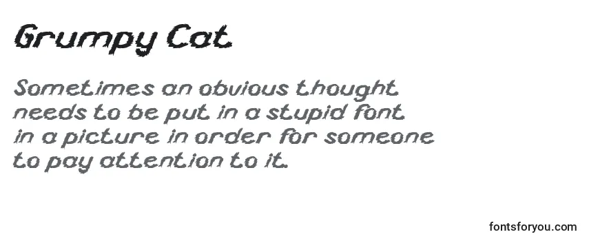 Grumpy Cat Font