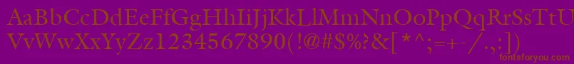 ItcGalliardLtRoman Font – Brown Fonts on Purple Background