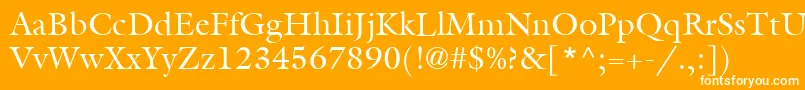 フォントItcGalliardLtRoman – オレンジの背景に白い文字