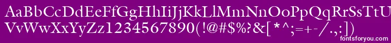 ItcGalliardLtRoman Font – White Fonts on Purple Background