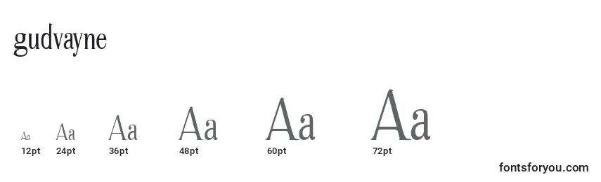 Размеры шрифта Gudvayne (128708)
