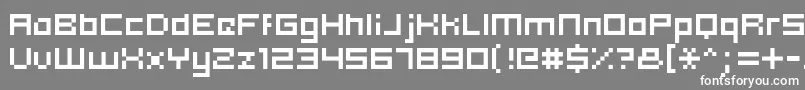 Hooge0553 Font – White Fonts on Gray Background