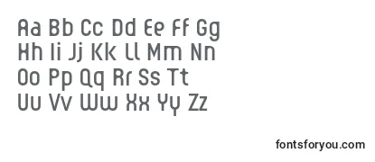 Review of the GUHLY Regular reduced Font