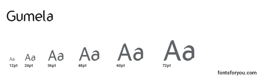 Gumela Font Sizes