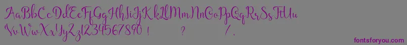 Guttentag Font – Purple Fonts on Gray Background