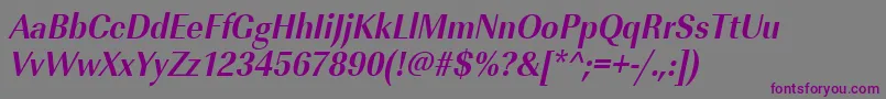 UrwimperialtextnarBoldOblique Font – Purple Fonts on Gray Background