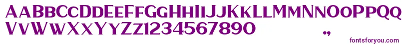 HaarlemSerif-fontti – violetit fontit