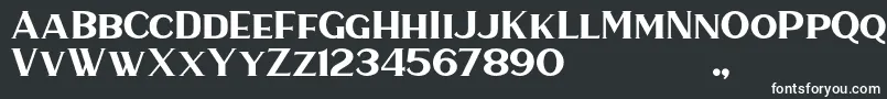 HaarlemSerif-fontti – valkoiset fontit