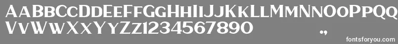 フォントHaarlemSerif – 灰色の背景に白い文字