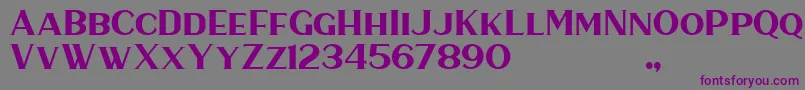 HaarlemSerif-fontti – violetit fontit harmaalla taustalla