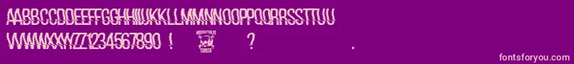 hackerchaos Font – Pink Fonts on Purple Background