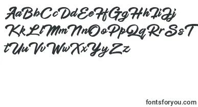 Hadsut Script font – drawn Fonts