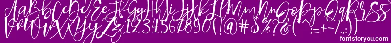 hafizan script-Schriftart – Weiße Schriften auf violettem Hintergrund