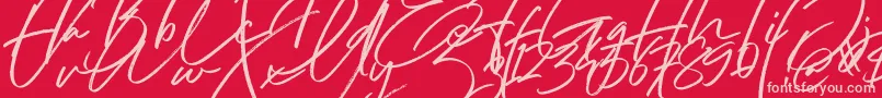 Hai Angellica Font Font – Pink Fonts on Red Background