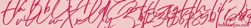 Hai Angellica Font Font – Red Fonts on Pink Background