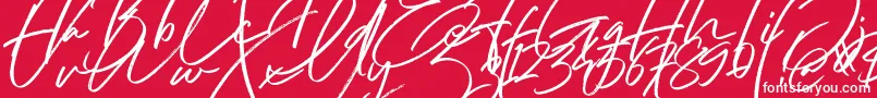 Hai Angellica Font-Schriftart – Weiße Schriften auf rotem Hintergrund