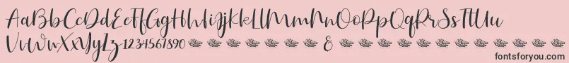 Hailluna Font – Black Fonts on Pink Background