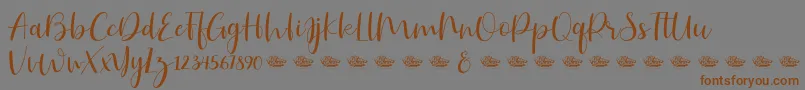 Hailluna Font – Brown Fonts on Gray Background