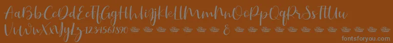 Hailluna Font – Gray Fonts on Brown Background