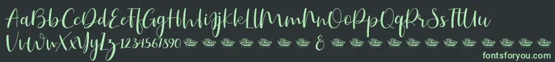 フォントHailluna – 黒い背景に緑の文字