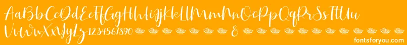 Hailluna-Schriftart – Weiße Schriften auf orangefarbenem Hintergrund