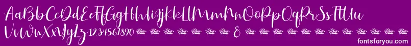 Hailluna Font – White Fonts on Purple Background