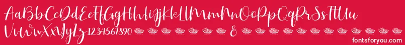 Hailluna Font – White Fonts on Red Background