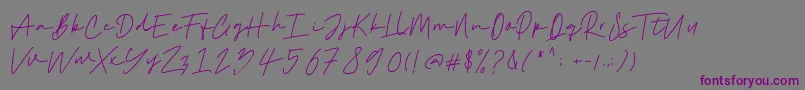 Шрифт Haklam – фиолетовые шрифты на сером фоне