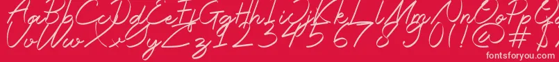 Halana Font – Pink Fonts on Red Background
