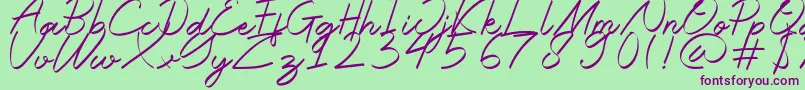 Halana Font – Purple Fonts on Green Background
