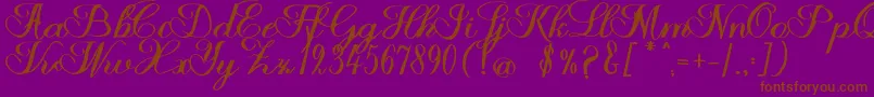 Halfesika Script Font – Brown Fonts on Purple Background