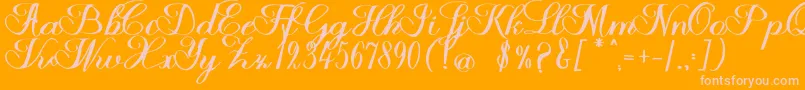 Halfesika Script Font – Pink Fonts on Orange Background