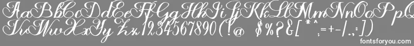 Halfesika Script Font – White Fonts on Gray Background