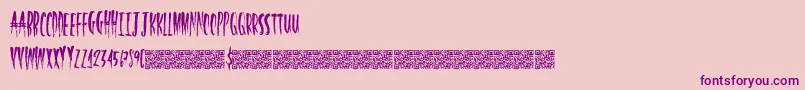 HalfLight Font – Purple Fonts on Pink Background