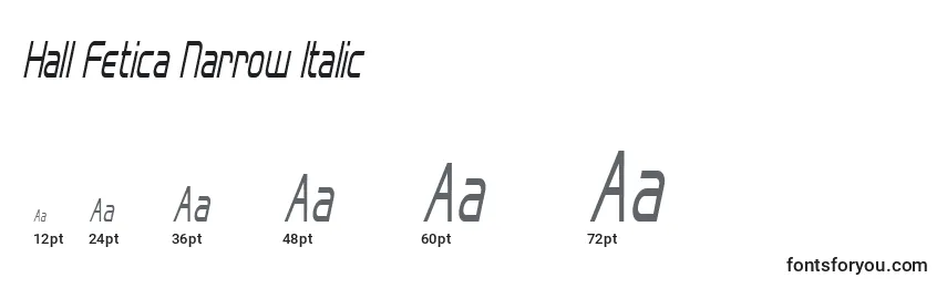 Размеры шрифта Hall Fetica Narrow Italic