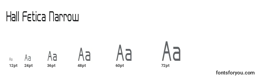 Hall Fetica Narrow Font Sizes