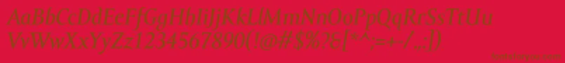 AmorSerifTextProItalic Font – Brown Fonts on Red Background