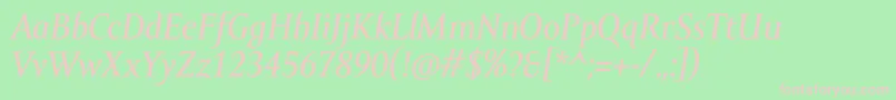 AmorSerifTextProItalic Font – Pink Fonts on Green Background